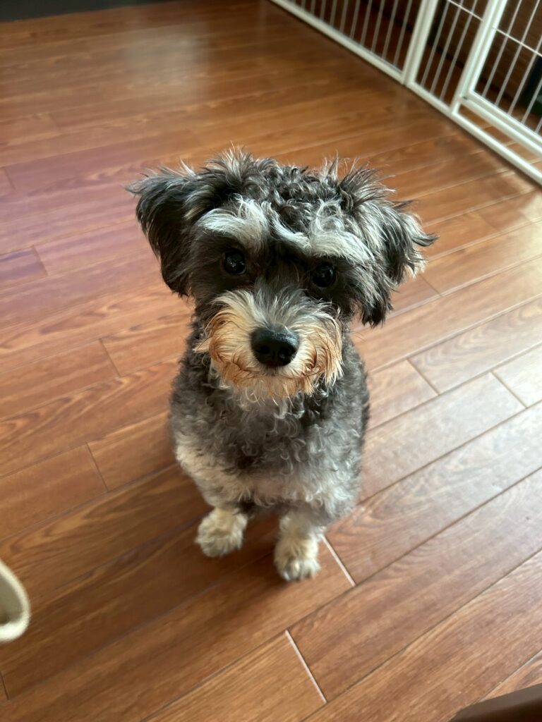 line_oa_chat_251103_171345 - 札幌の注文住宅なら寿建設|屋上庭園とガレージが得意な工務店