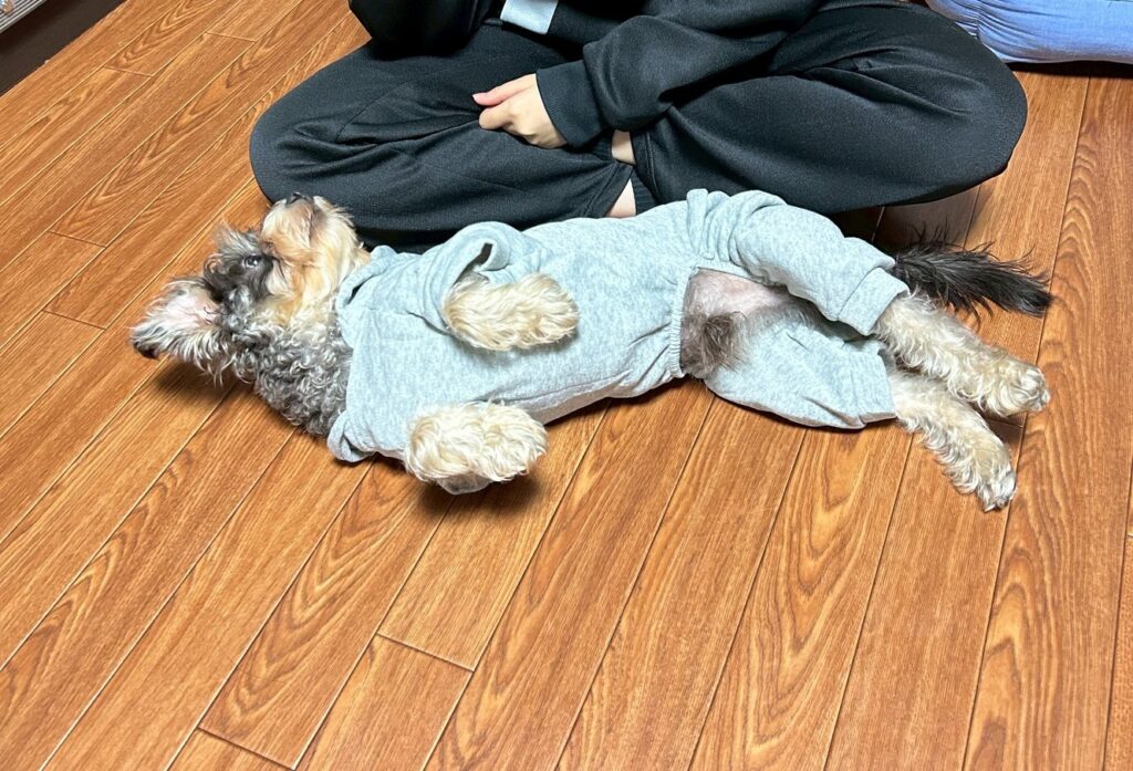 line_oa_chat_251103_171358 - 札幌の注文住宅なら寿建設|屋上庭園とガレージが得意な工務店