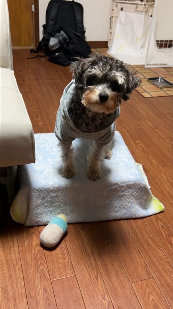 line_oa_chat_251103_171403 - 札幌の注文住宅なら寿建設|屋上庭園とガレージが得意な工務店