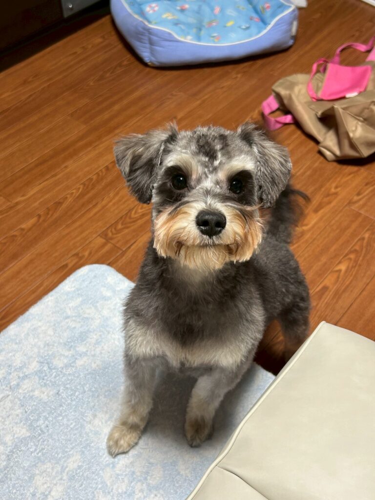 line_oa_chat_251103_171422 - 札幌の注文住宅なら寿建設|屋上庭園とガレージが得意な工務店