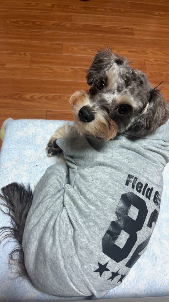 line_oa_chat_251103_171428 - 札幌の注文住宅なら寿建設|屋上庭園とガレージが得意な工務店