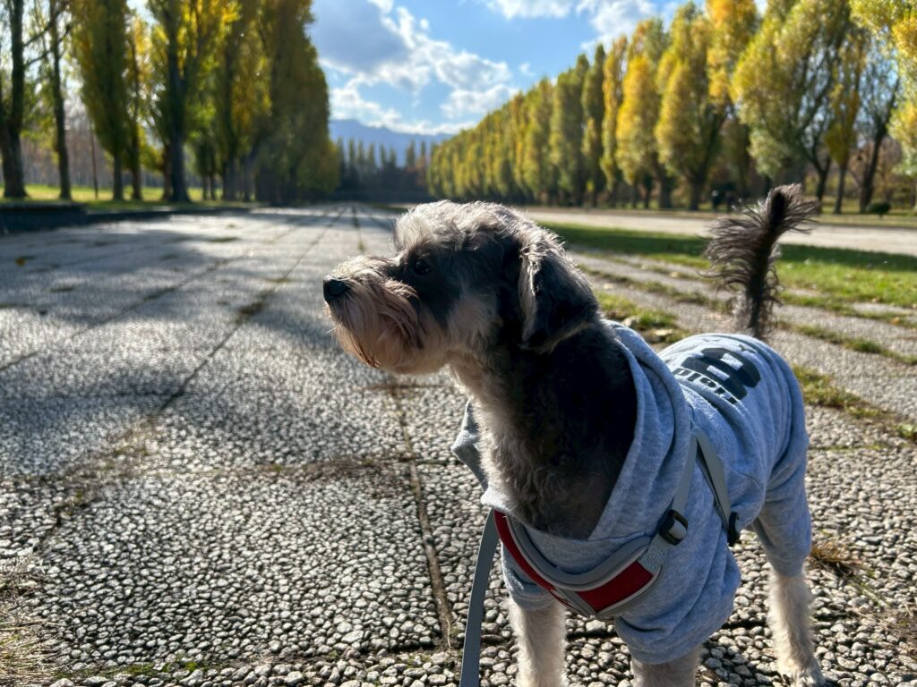 line_oa_chat_251111_104250 - 札幌の注文住宅なら寿建設|屋上庭園とガレージが得意な工務店