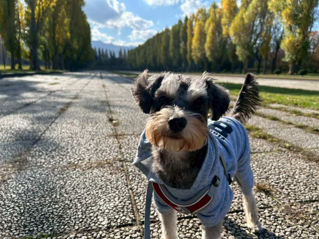 line_oa_chat_251111_104254 - 札幌の注文住宅なら寿建設|屋上庭園とガレージが得意な工務店