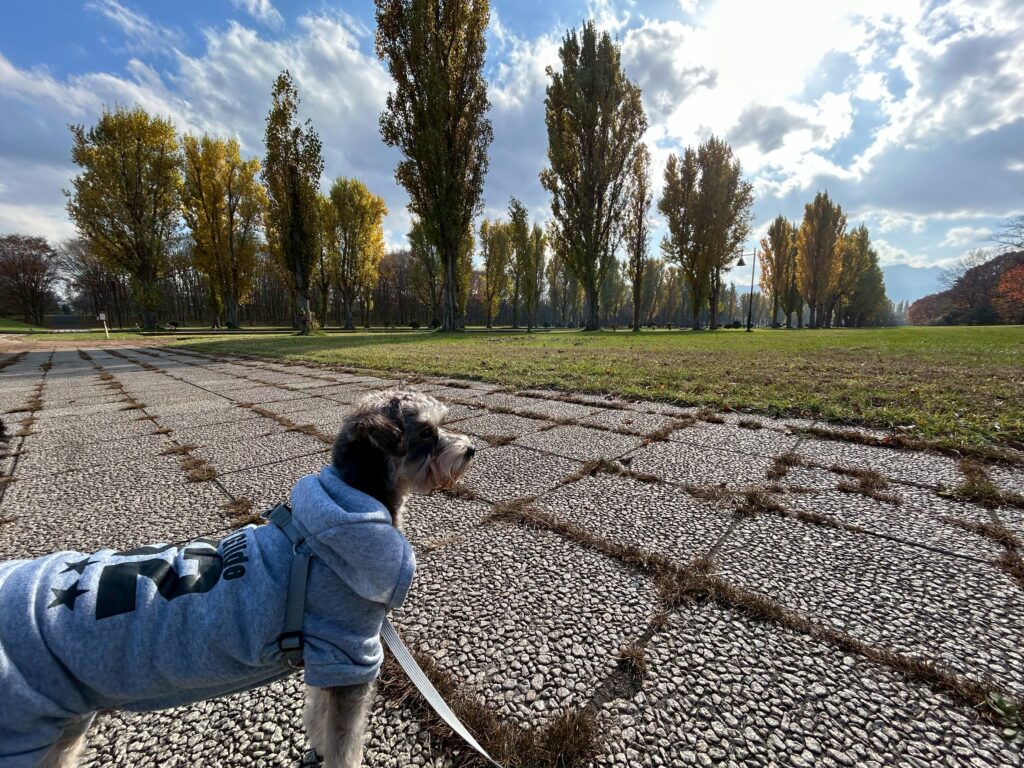 line_oa_chat_251111_104300 - 札幌の注文住宅なら寿建設|屋上庭園とガレージが得意な工務店