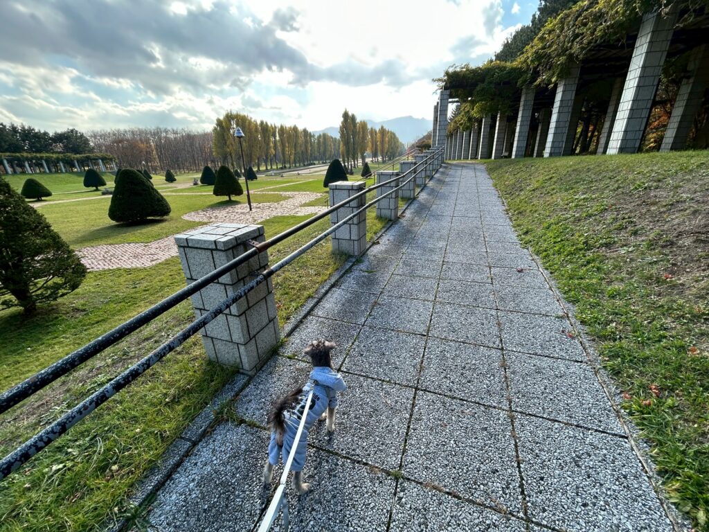 line_oa_chat_251111_104311 - 札幌の注文住宅なら寿建設|屋上庭園とガレージが得意な工務店