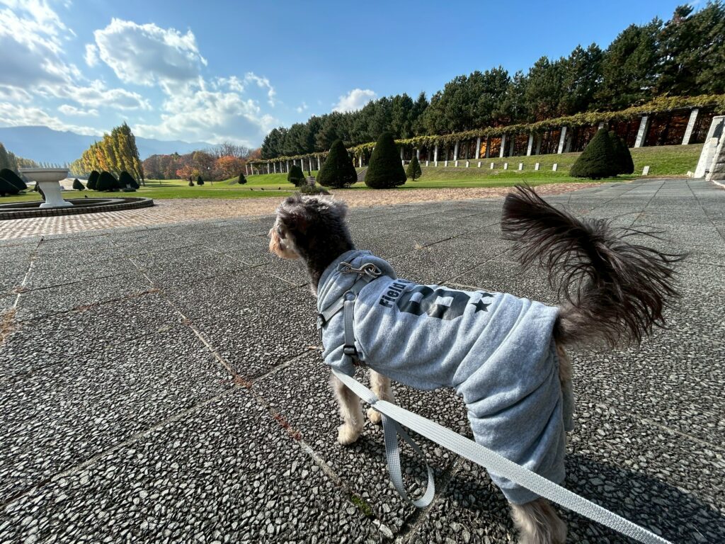 line_oa_chat_251111_104318 - 札幌の注文住宅なら寿建設|屋上庭園とガレージが得意な工務店