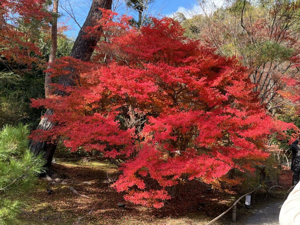 line_oa_chat_251202_172750 - 札幌の注文住宅なら寿建設|屋上庭園とガレージが得意な工務店