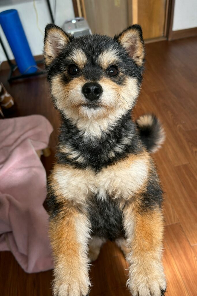 line_oa_chat_260216_172242 - 札幌の注文住宅なら寿建設|屋上庭園とガレージが得意な工務店