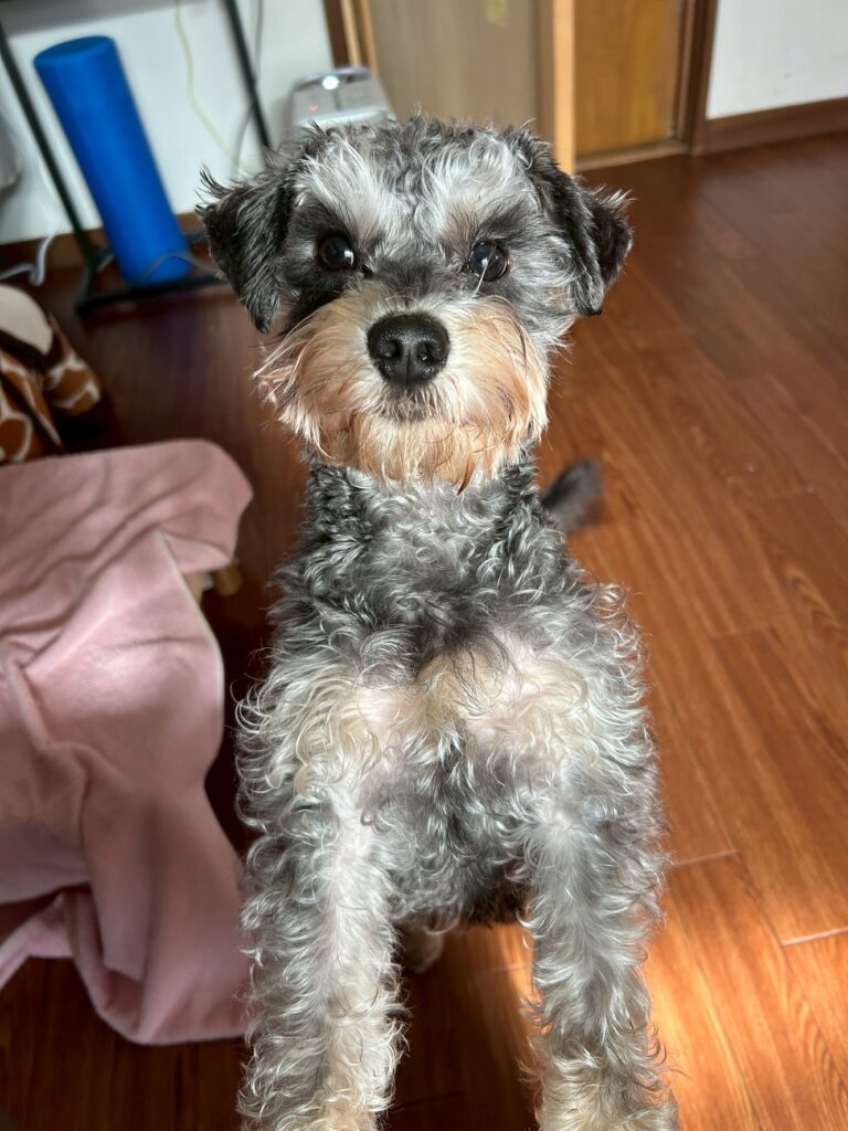 line_oa_chat_260220_133909 - 札幌の注文住宅なら寿建設|屋上庭園とガレージが得意な工務店