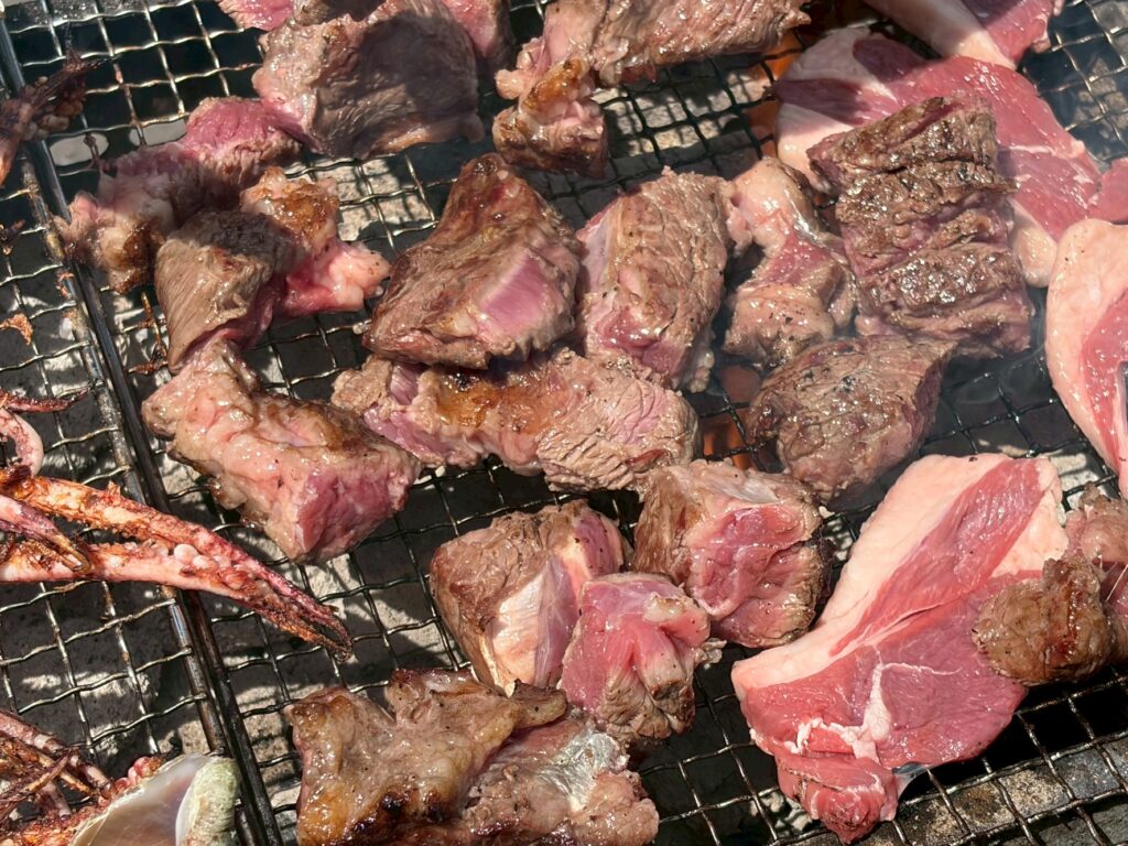 Chunks of grilled beef cooking on a wire grate, pink center and charred edges visible.